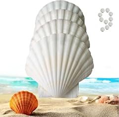 Crossbody sea shells for sale  Delivered anywhere in USA 