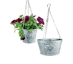 Eurodiscount blumentopf pflanz gebraucht kaufen  Wird an jeden Ort in Deutschland