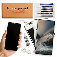 Amcomponent display tianma usato  Spedito ovunque in Italia 