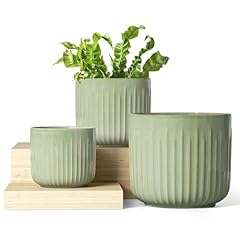 Tauci ceramic planters for sale  Delivered anywhere in USA 
