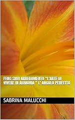 Feng shui arredamento usato  Spedito ovunque in Italia 