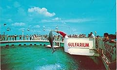 Postcard rppc gulfarium for sale  Delivered anywhere in USA 