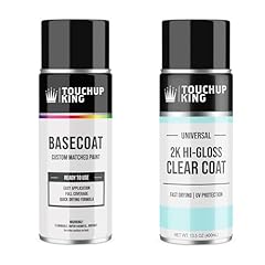 Custom paint kit for sale  Delivered anywhere in USA 