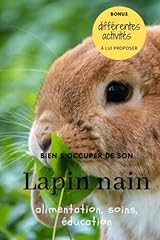 Occuper lapin nain d'occasion  Livré partout en France