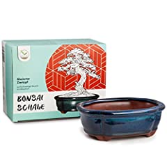 Bonsai vaso ceramica usato  Spedito ovunque in Italia 