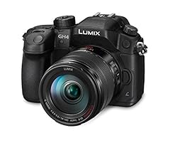 Panasonic lumix dmc usato  Spedito ovunque in Italia 