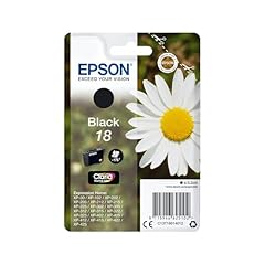 Epson serie 18xl usato  Spedito ovunque in Italia 