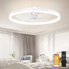 Volisun low ceiling for sale  Delivered anywhere in USA 