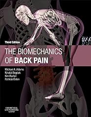 The biomechanics back usato  Spedito ovunque in Italia 