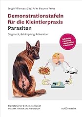Demonstrationstafeln für die usato  Spedito ovunque in Italia 
