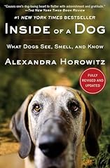 Inside dog dogs for sale  Delivered anywhere in USA 