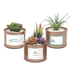 Plante artificielle interieur d'occasion  Livré partout en France