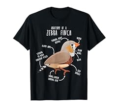 Zebra finch anatomy for sale  Delivered anywhere in USA 