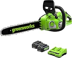 Greenworks 48v motosega usato  Spedito ovunque in Italia 