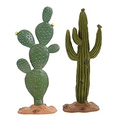 Besportble terrarium cactus for sale  Delivered anywhere in USA 