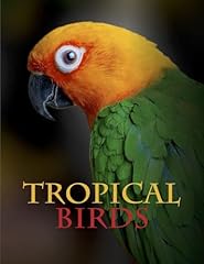 Tropical birds for sale  Delivered anywhere in USA 
