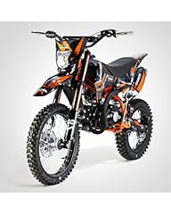 Moto pit bike usato  Spedito ovunque in Italia 