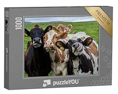 Puzzleyou puzzle 1000 gebraucht kaufen  Wird an jeden Ort in Deutschland