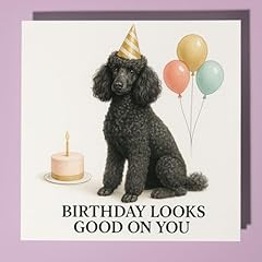 Poodle dog birthday for sale  Delivered anywhere in UK