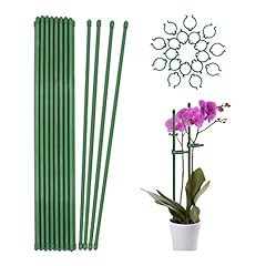 Plant stakes green for sale  Delivered anywhere in USA 