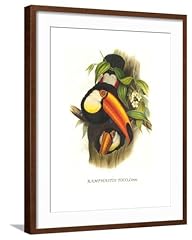 Art.com wall art for sale  Delivered anywhere in USA 