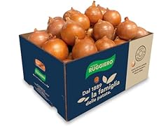 Cipolle ruggiero dorate usato  Spedito ovunque in Italia 