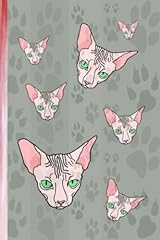 Sphynx cat lined for sale  Delivered anywhere in UK