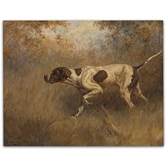 English pointer dog for sale  Delivered anywhere in USA 