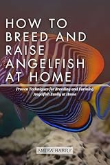 Breed raise angelfish for sale  Delivered anywhere in USA 