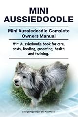 Mini aussiedoodle. mini for sale  Delivered anywhere in USA 