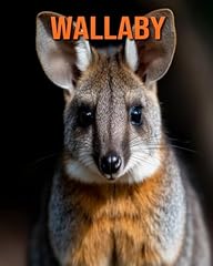 Wallaby buch lustigen gebraucht kaufen  Wird an jeden Ort in Deutschland
