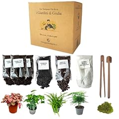 Kit per terrarium usato  Spedito ovunque in Italia 