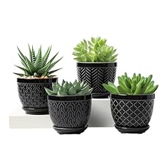 Sureasy ceramic plant for sale  Delivered anywhere in USA 