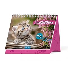 Trötsch aufstellkalender samt gebraucht kaufen  Wird an jeden Ort in Deutschland