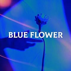 Blue flower for sale  Delivered anywhere in USA 