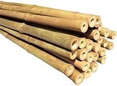 Dlh western natural for sale  Delivered anywhere in USA 