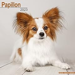 Papillon calendar 2023 for sale  Delivered anywhere in Ireland