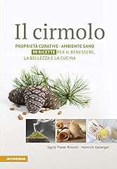 Cirmolo. proprietà curative usato  Spedito ovunque in Italia 