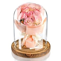 Glass cloche display for sale  Delivered anywhere in USA 