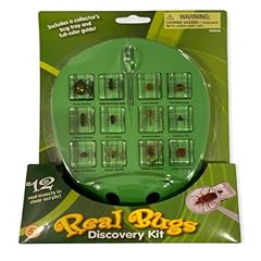 Real bugs discovery for sale  Delivered anywhere in UK