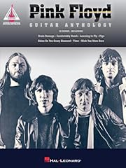 Pink floyd guitar usato  Spedito ovunque in Italia 