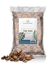 100 natural pine for sale  Delivered anywhere in USA 