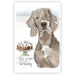 Weimaraner dog birthday for sale  Delivered anywhere in Ireland