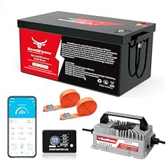 36v 100ah lifepo4 for sale  Delivered anywhere in USA 