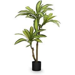 Maia shop 3.5ft for sale  Delivered anywhere in USA 