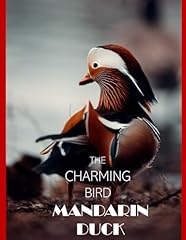 Mandarin duck enchanting for sale  Delivered anywhere in UK