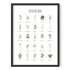 Haus hues herb for sale  Delivered anywhere in USA 