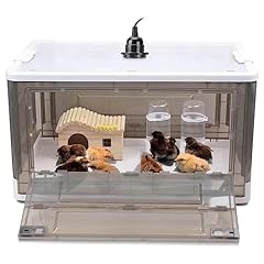 Hkdq chick brooder for sale  Delivered anywhere in USA 