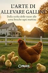 Arte allevare galline usato  Spedito ovunque in Italia 