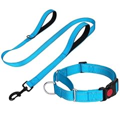 Funtags reflective martingale for sale  Delivered anywhere in USA 